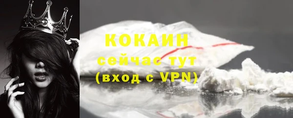 дмт Абаза