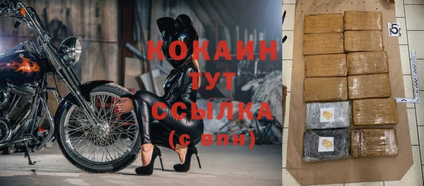 гидра Семёнов