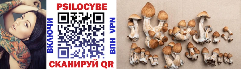 Галлюциногенные грибы Cubensis  Весьегонск 